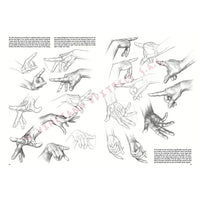 Collezione Leonardo 03 Fondamenti di disegno