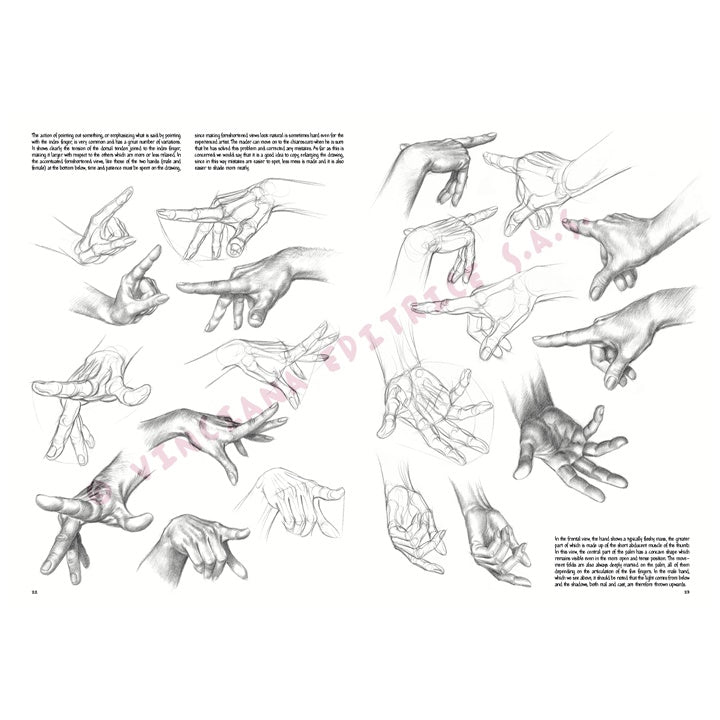 Collezione Leonardo 03 Fondamenti di disegno