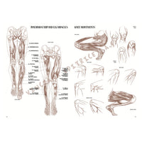 Collezione Leonardo 04 Anatomia