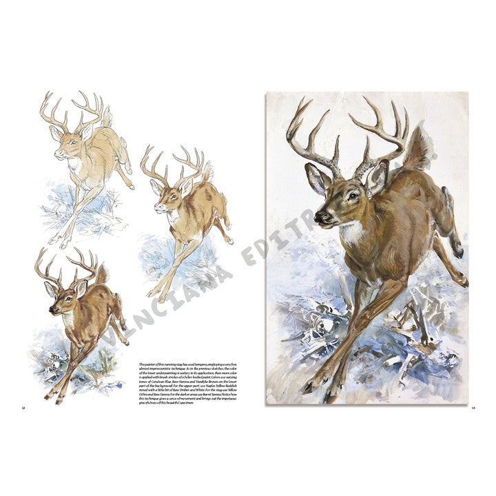 Collezione Leonardo 13 - Animali
