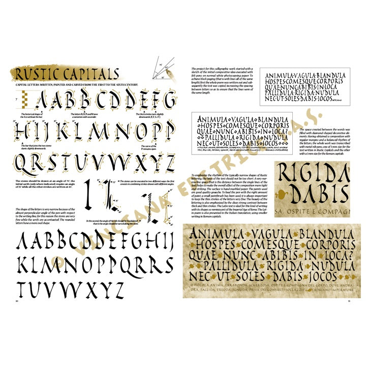 Collezione Leonardo 37 Guida alla calligrafia