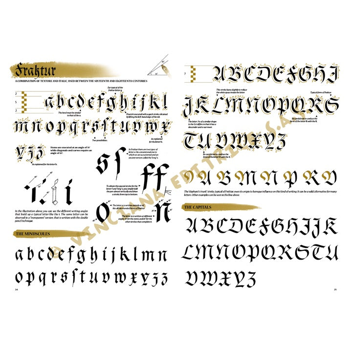 Collezione Leonardo 37 Guida alla calligrafia