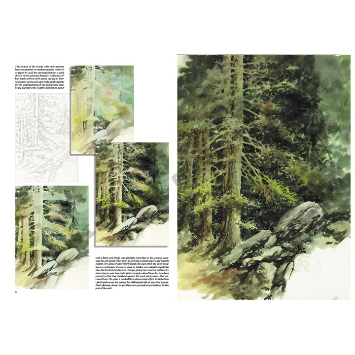Collezione Leonardo 45 Alberi e foglie