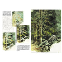 Collezione Leonardo 45 Alberi e foglie