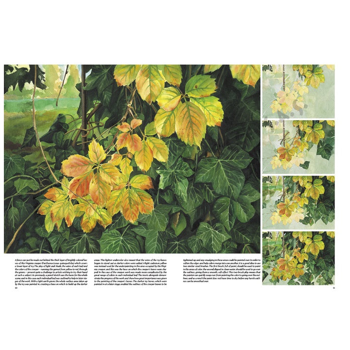 Collezione Leonardo 45 Alberi e foglie