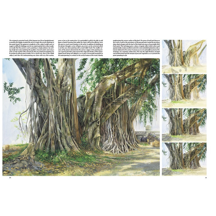 Collezione Leonardo 45 Alberi e foglie