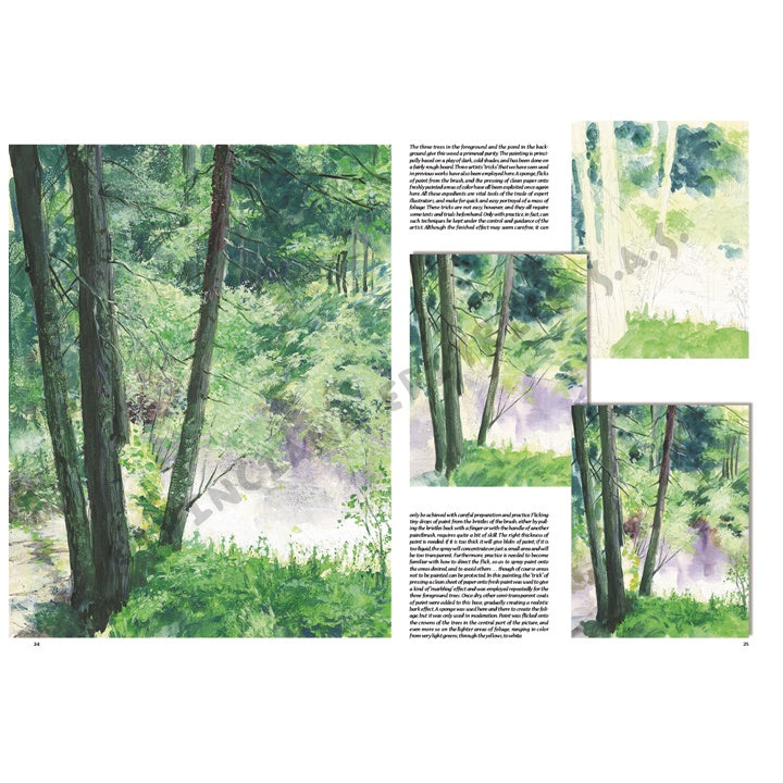 Collezione Leonardo 45 Alberi e foglie