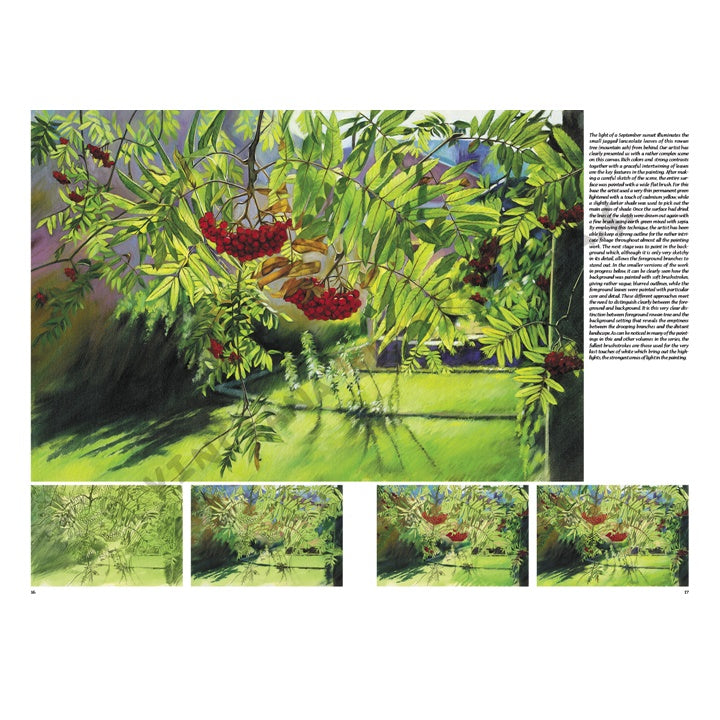 Collezione Leonardo 45 Alberi e foglie