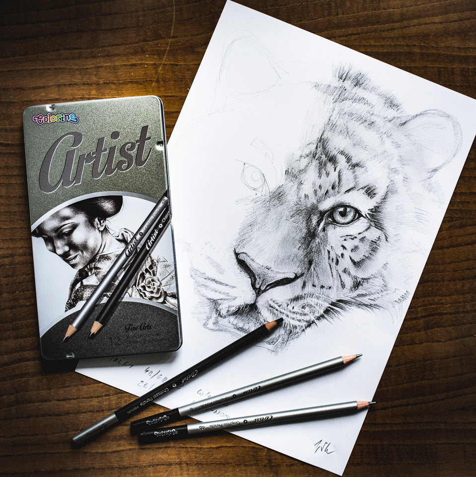 Colorino Artist set da disegno con matite di grafite e carboncini in scatola di metallo