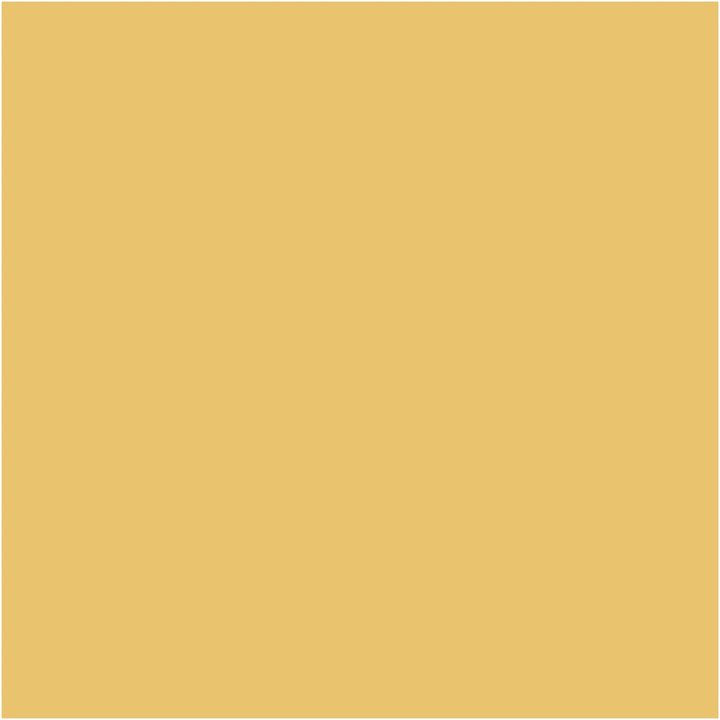 Pittura decorativa gessosa Pentart – 21475 - mandarino