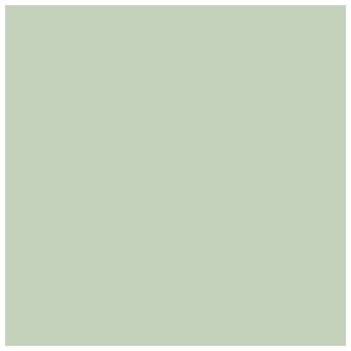 Gessetto decorativo Chalky Pentart 500 ml – muschio verde