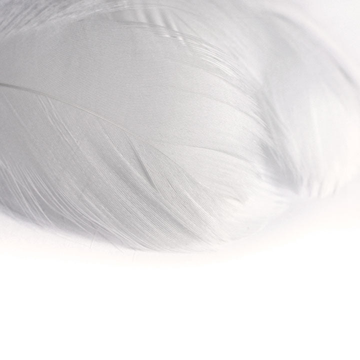 Piuma decorativa 190 pezzi – white