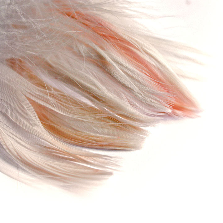 Piuma decorativa 190 pezzi – orange