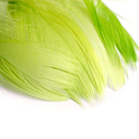 Piuma decorativa 190 pezzi – light green