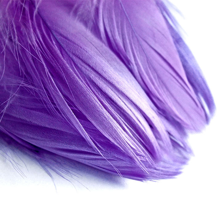 Piuma decorativa 190 pezzi – dark purple