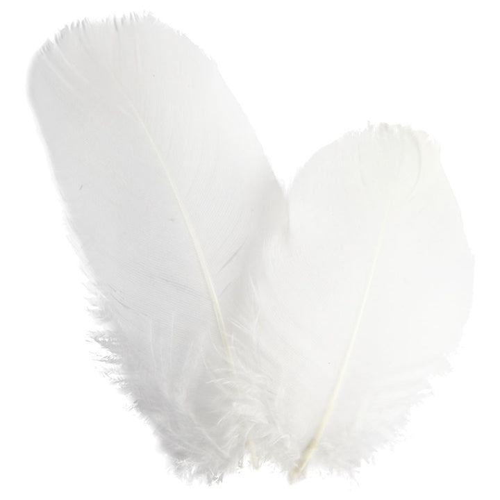 Piume decorative 3 g – bianche