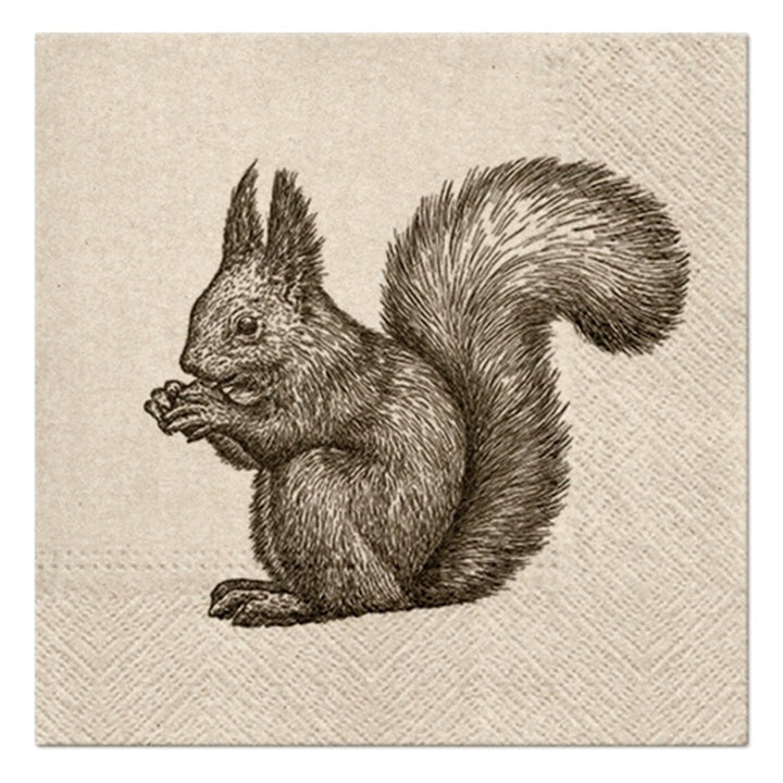 Eco tovaglioli per decoupage Squirrel - 1 pezzo