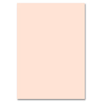 Cartone colorato 50x70cm – rosa