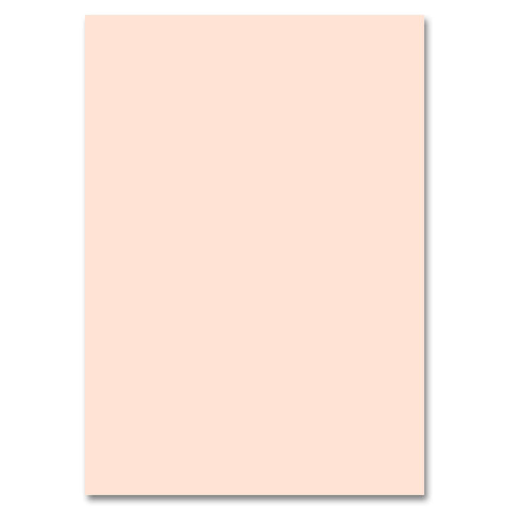 Cartone colorato 50x70cm – rosa