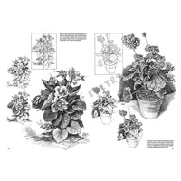 Libro da disegno Leonardo Collection 21 Fiori