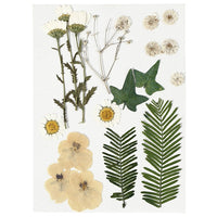 Fiori e foglie pressati – yellow