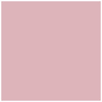 Polvere minerale Art Mica 9 g – pesca rosato