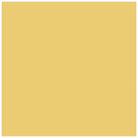 Polvere minerale Art Mica 9 g – giallo