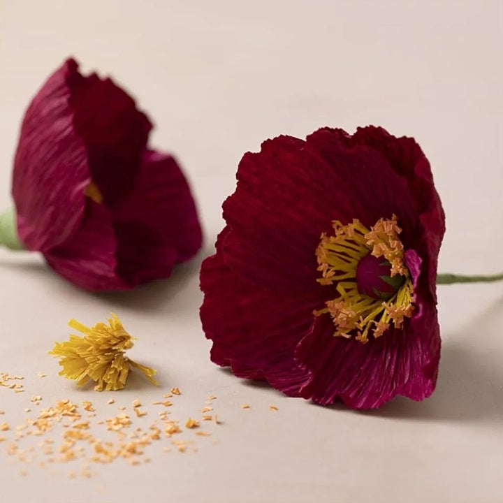Mini set creativo | Papaveri di carta crespa