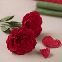 Mini set creativo | Rose di carta crespa