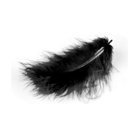 MARABU piume 10 - 12cm 17 pz | sceglie colore – čierne