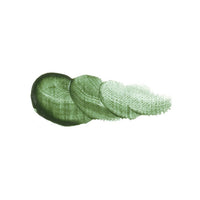 Colori ad olio Vernet - Holbein 20 ml – 031 Terre Verte