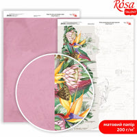 Carte per scrapbooking King Protea A4 – No. 4