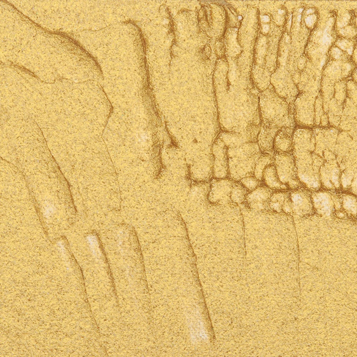 Pasta strutturante dorata Schmincke per acrilico | vari volumi — immagine 2