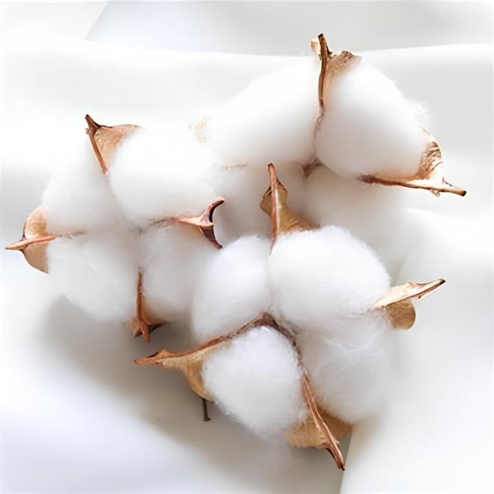 Piante essiccate per la produzione di sapone | Vari tipi e pesi | Vari tipi e pesi