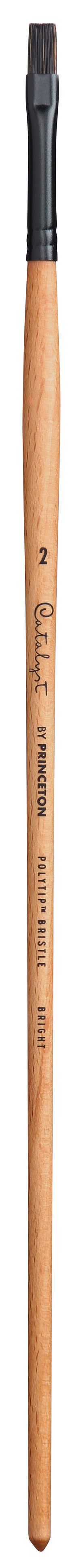 PRINCETON Catalyst Polytip pennello piatto Bright a manico lungo – 2