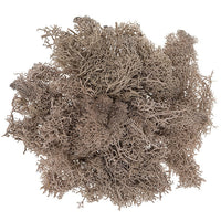 Muschio di renna naturale 30 g – marrone