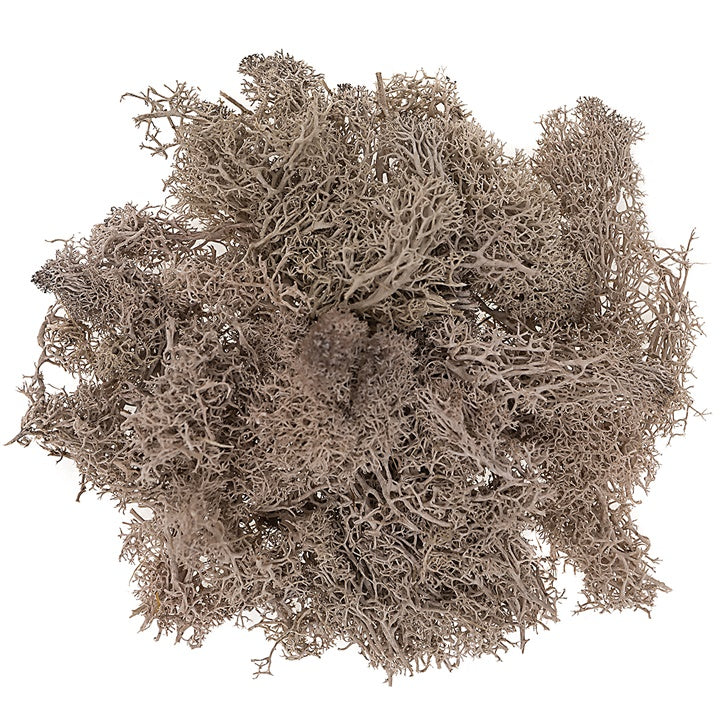 Muschio di renna naturale 30 g – marrone