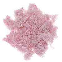 Muschio di renna naturale 30 g – rosato