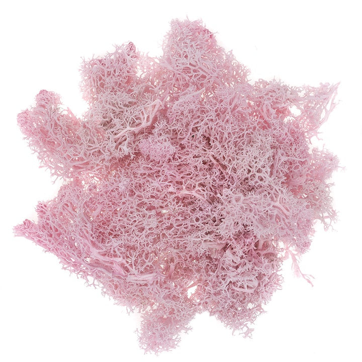 Muschio di renna naturale 30 g – rosato