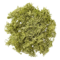 Muschio di renna naturale 30 g – Verde Chiaro