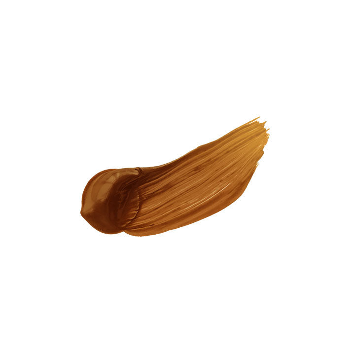 Colori acrilici professionali Heavy Body - Holbein - sfumature marroni – Raw Sienna