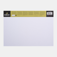 Blocco da disegno ROYAL TALENS Rembrandt Toned Industrial Grey 180 g - 50 fogli, A3