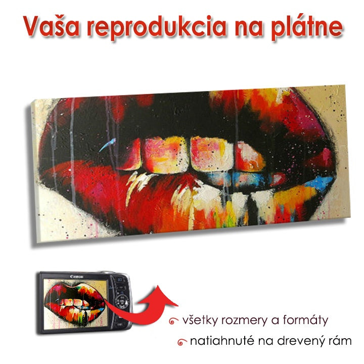 Riproduzione su tela - PANORAMA