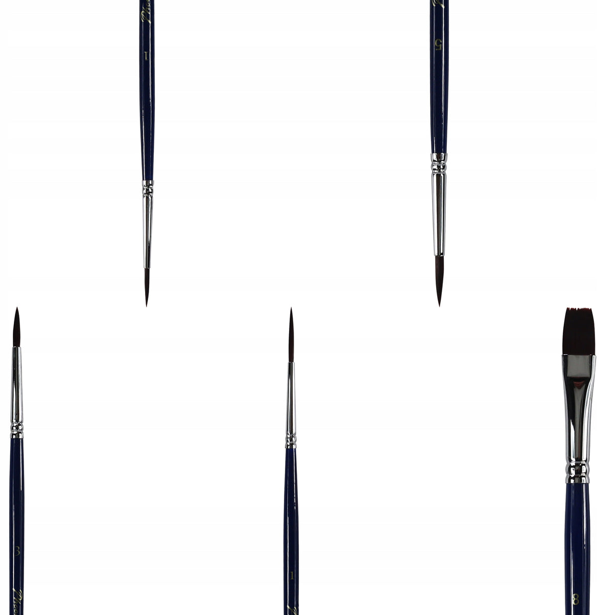 Set di 5 pennelli Phoenix 6614S1