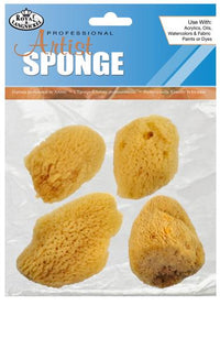 Spugna naturale per pittura - SET 4pezzi