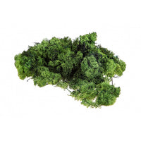 Lichene islandese 500g – verde