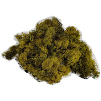 Lichene islandese 500g – giallo
