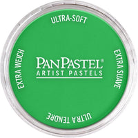 Colori a pastello per artisti PanPastel – 640,5 Verde permanente