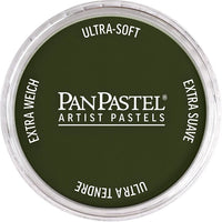 Colori a pastello per artisti PanPastel – 660,3 Ossido di cromo verde ombra