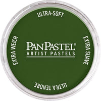 Colori a pastello per artisti PanPastel – 660,5 Ossido di cromo verde